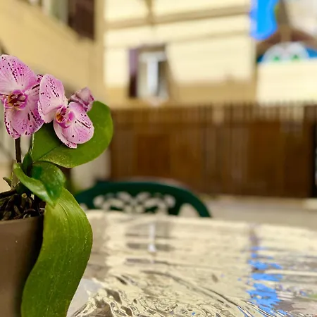 Maison Sanfelice * Napoli